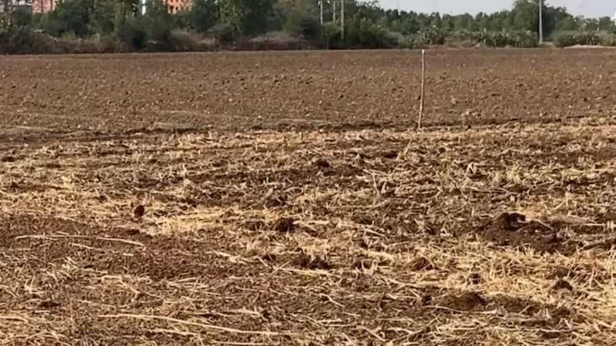 19 Years After Land Sale for Daughter’s Wedding, Bengaluru Woman Demands Share 1 Daughter Disputes 2006 Land Sale After 19 Years