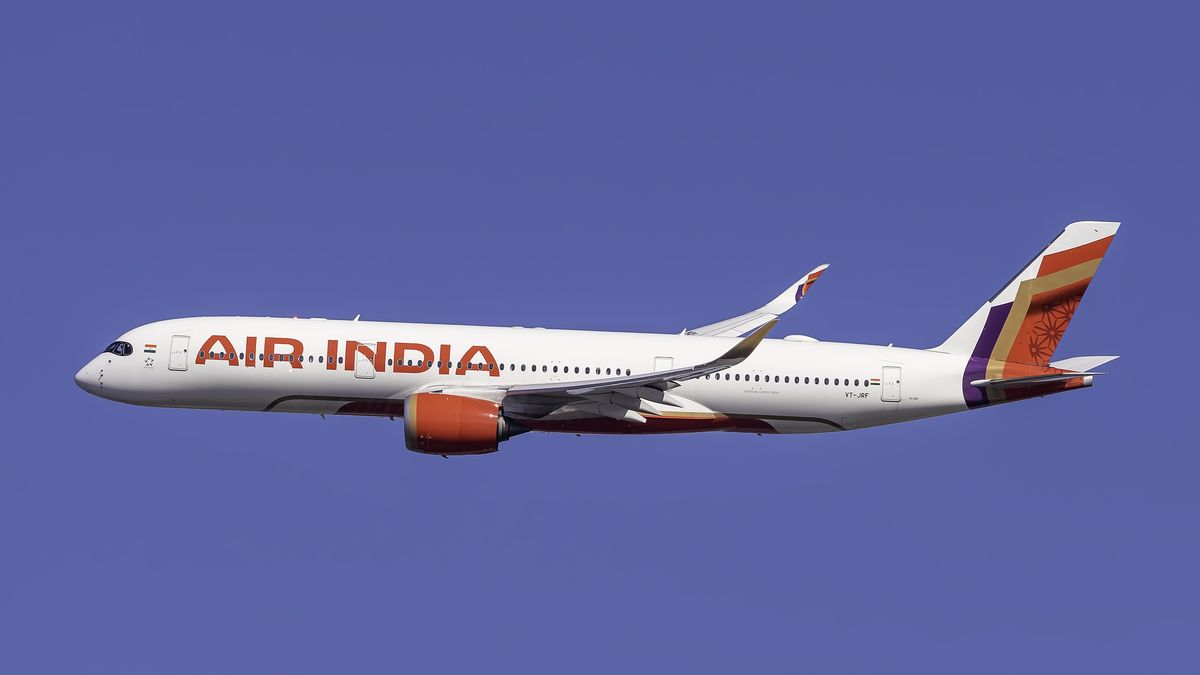 Air India Crash Report Reveals No Mechanical Faults: What the Findings Mean for Passengers 3 Air India Clash CEO Report